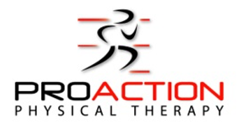 ProactionLogo2.png