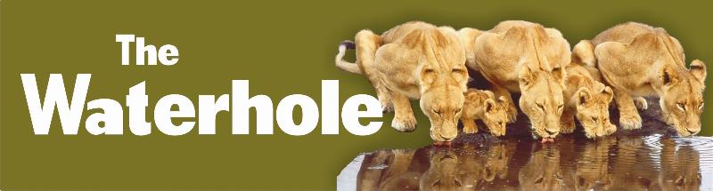 Waterhole Header (Green)