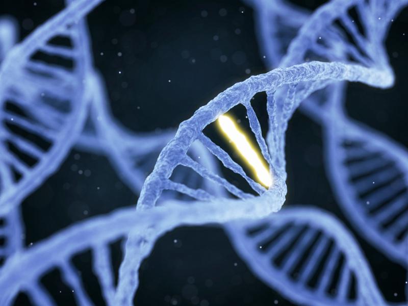 DNA molecule spiral structure with unique connection on abstract dark background. Genetics GMO and biotechnology concept. 3D illustration