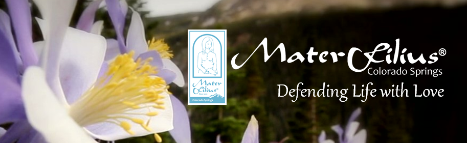 Masthead draft 6.PNG