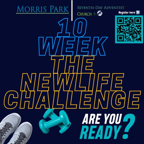 Bronx Community Board 7 Newsletter