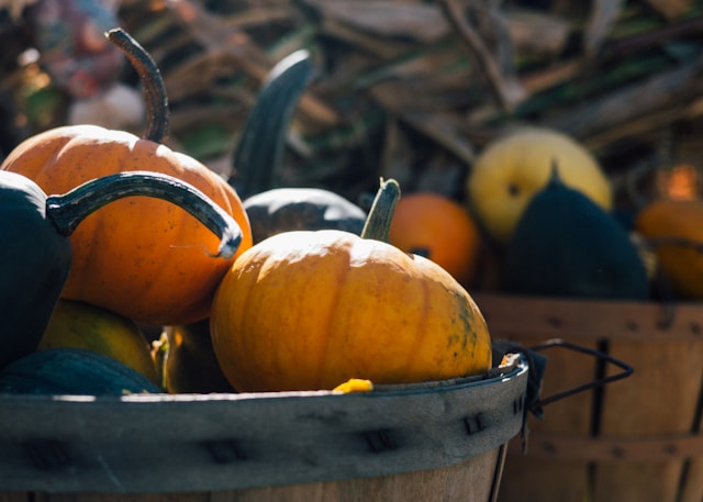 Pumpkins in a round bucket