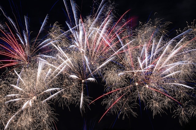 fireworks in a dark sky