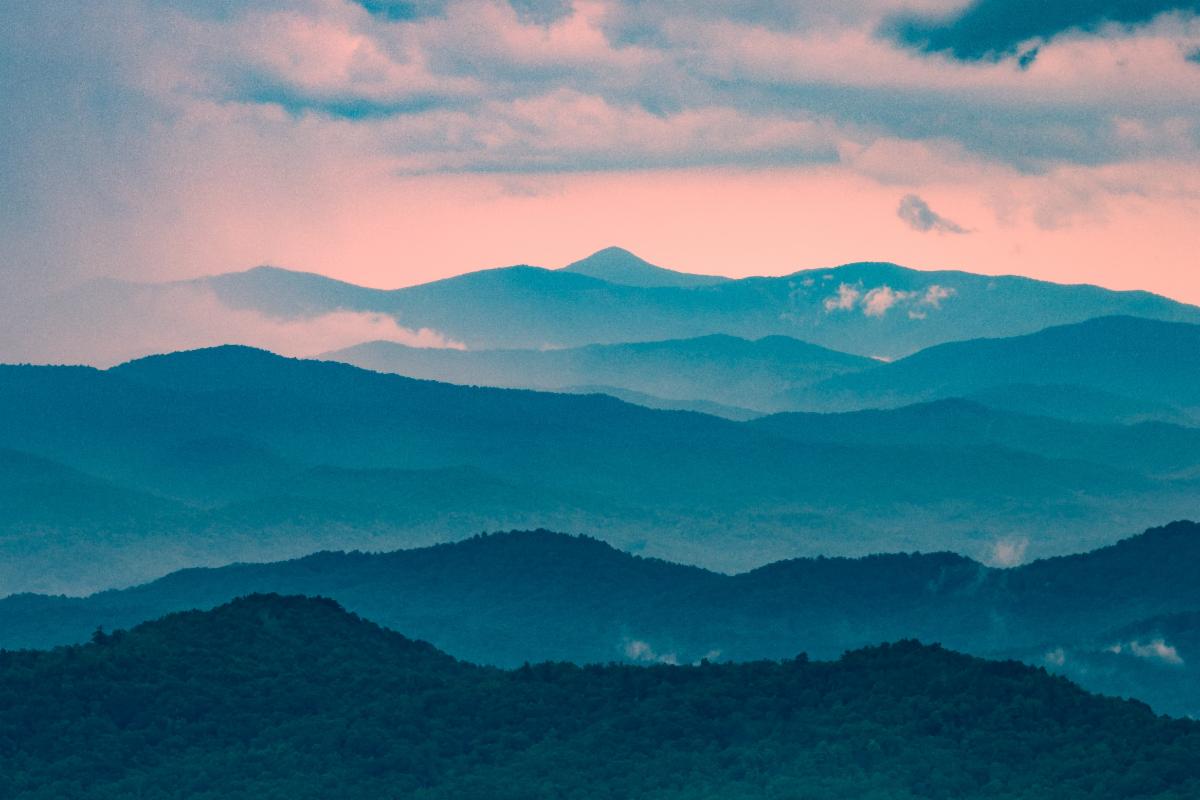 Photo by Bradley Allweil on Unsplash