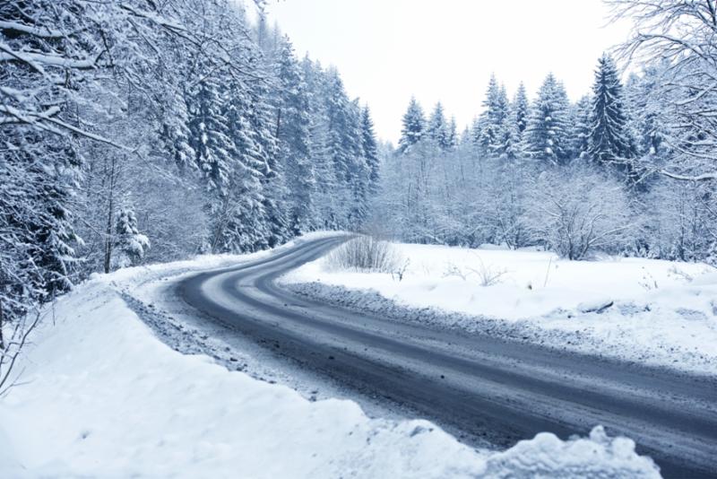 forrest_snow.jpg