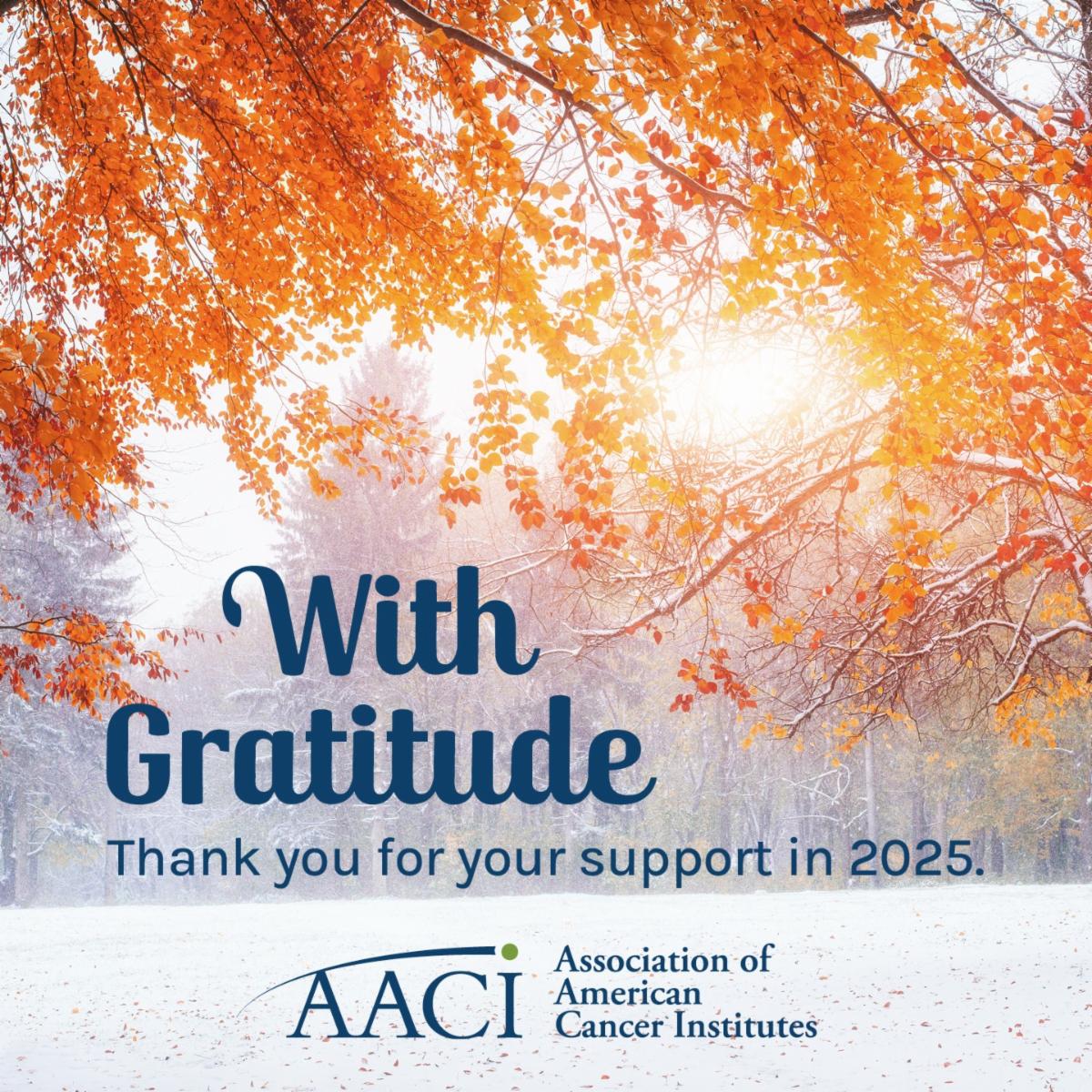 Thank you for your support - 2025