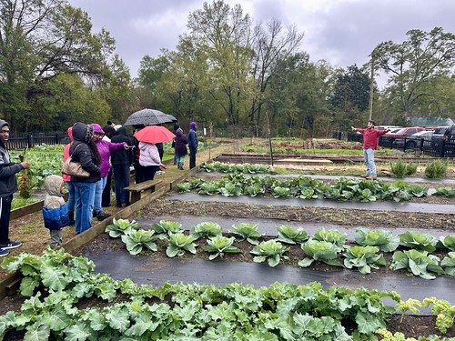 Antonio Martinez, the manager of O Grows in Opelika, led students and parents of Auburn Outreach’s Young Professionals in Training program on a tour of the organization’s facilities with lessons on healthy eating and gardening.