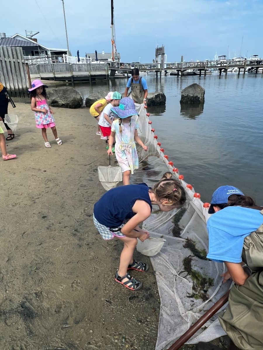 seining