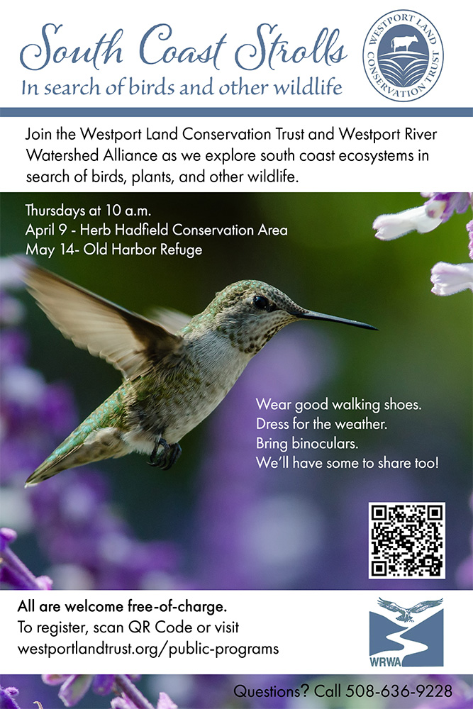 South Coast Stroll May 14