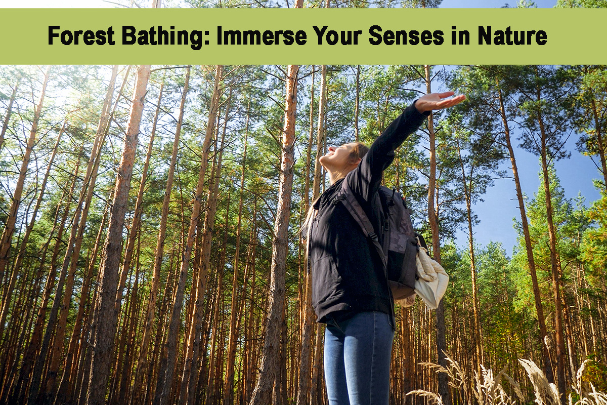 Forest Bathing