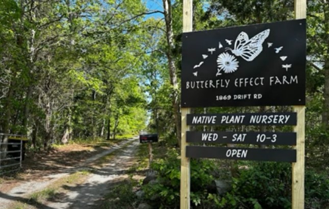 Butterfly Effect Farm