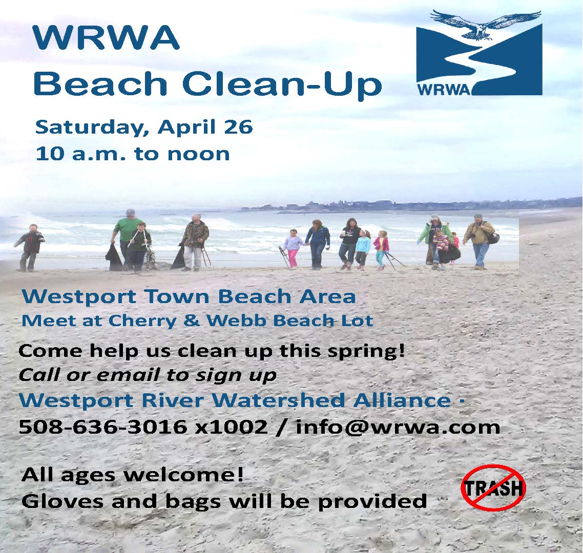 2025 Beach Clean up