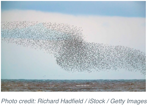 Photo credit: Richard Hadfield / iStock / Getty Images