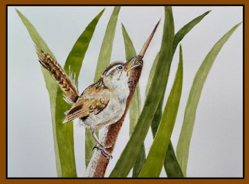The Wren