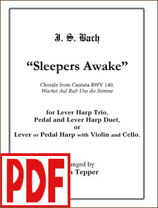 Sleepers Awake