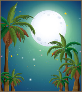 moon and palm trees