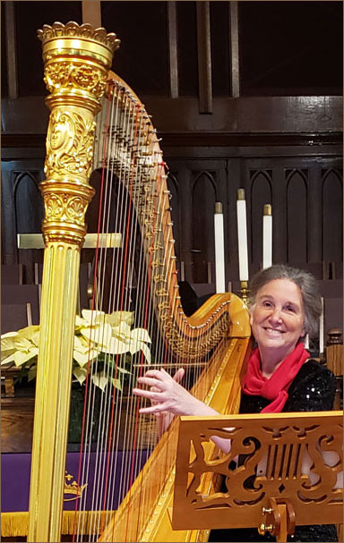 Joy with Style 23 harp