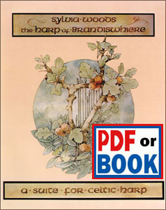 Brandiswhiere book