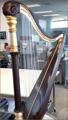 Chocolate harp