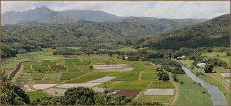 Hanalei valley