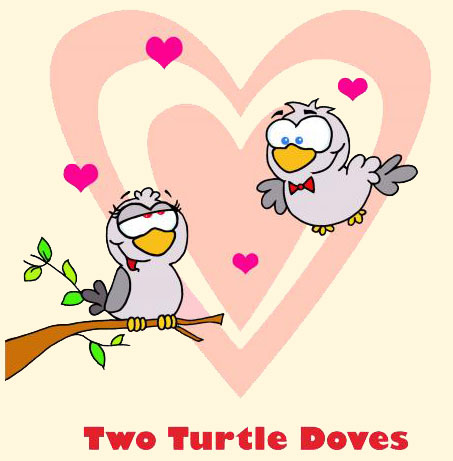 two turtle doves