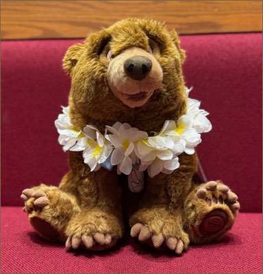 Bear with lei