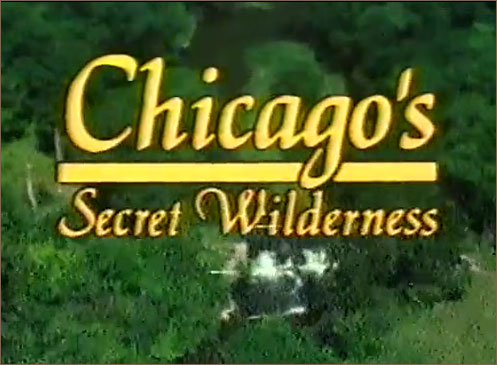 Chicago's Secret Wilderness