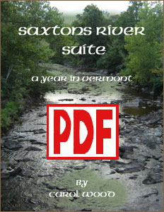 Saxton's River Suite