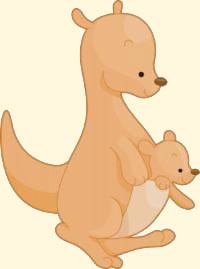 Kangaroo mom