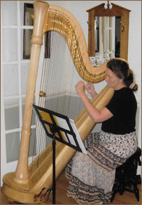 Joy playing 85E harp