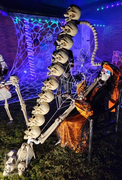 Skeleton harp