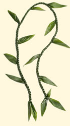 Open Lei