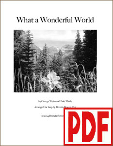 Wonderful World