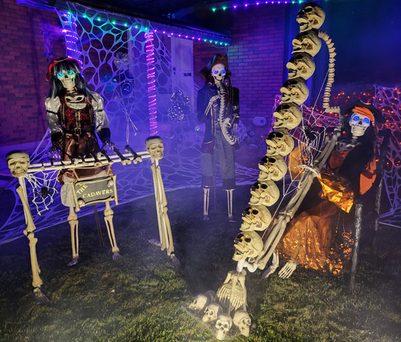 Skeleton orchestra