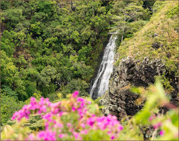 Opaekaa waterfall 
