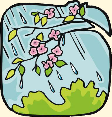Flowers and rain