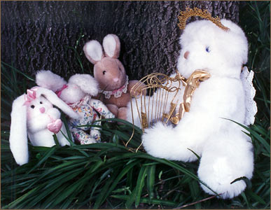 Stuffed animals