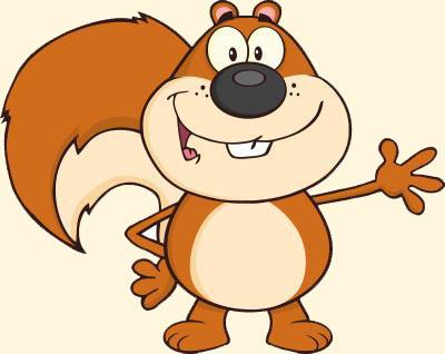 Squirrel