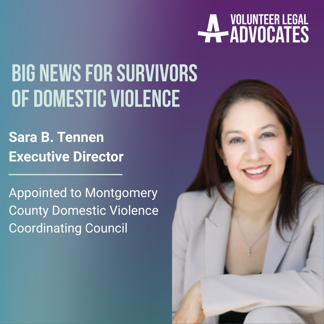MoCo_Council_Appt_Social_Posts_p2.png