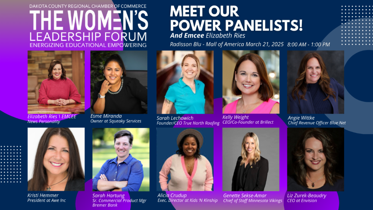 WLF Power Panelsts