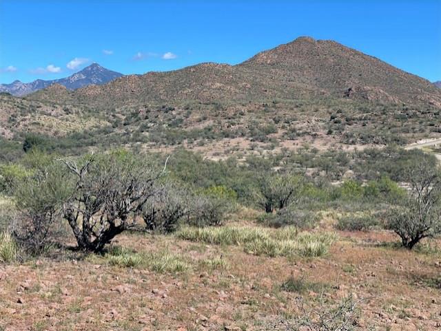 Morningstar Ranch Rio Rico Southern Arizona Newsletter Long Realty Tubac