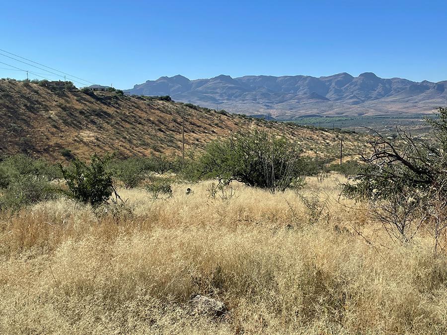 Southern Arizona Newsletter Long Realty Tubac