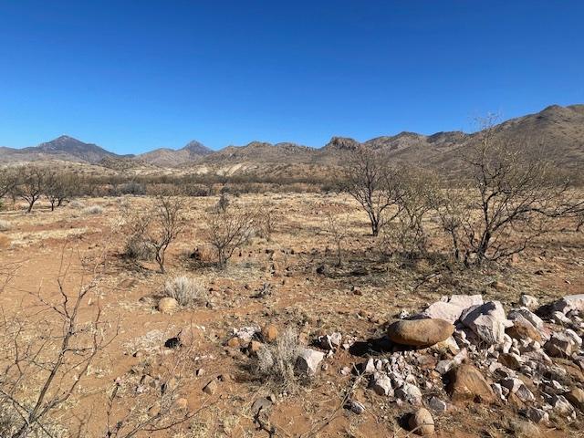 Tejano Spring Rio Rico Az Southern Arizona Newsletter Long Realty Tubac