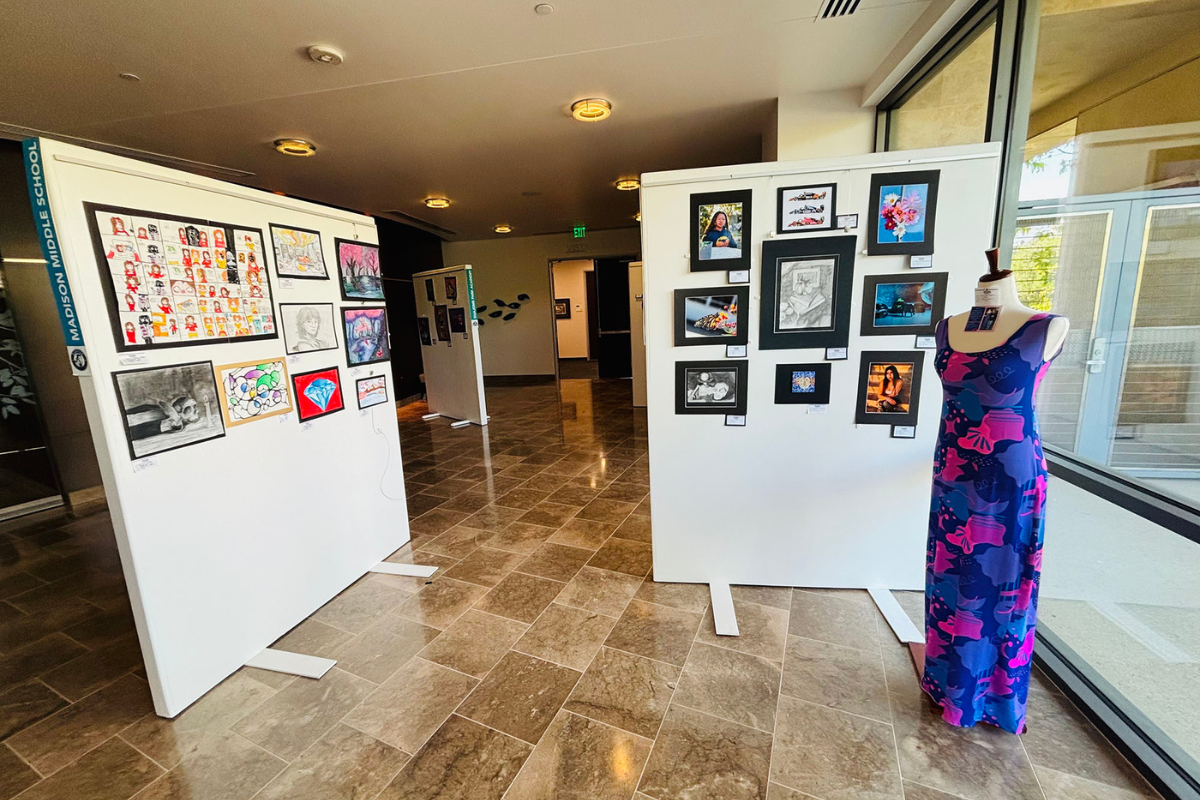 Photo of the Visual Arts Under the Stars Exhibition at the Civic Gallery