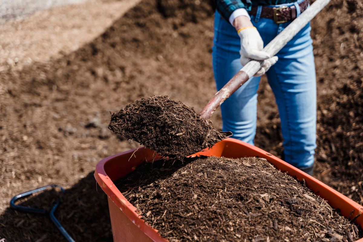 mulch