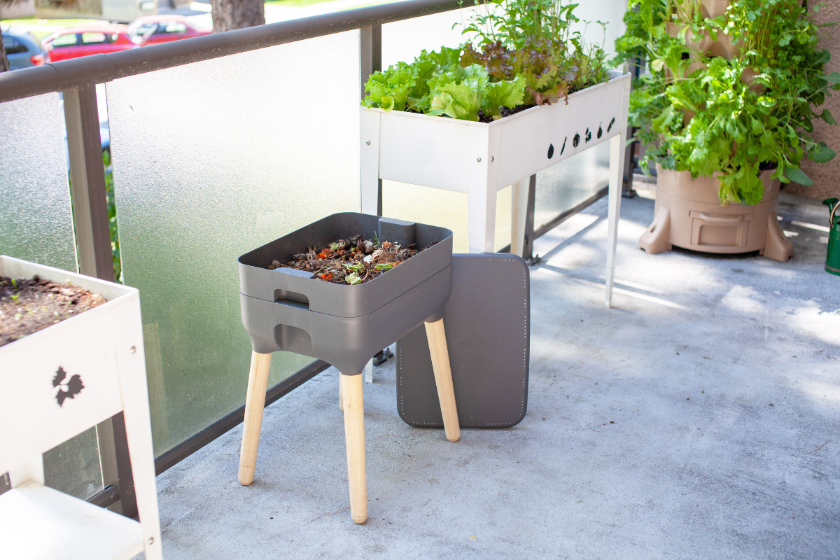 photo of a vermicomposting set up