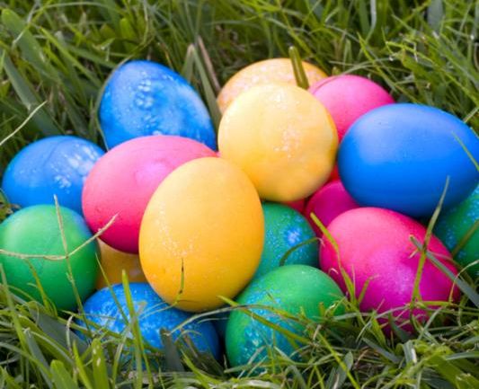 eggs_on_grass.jpg