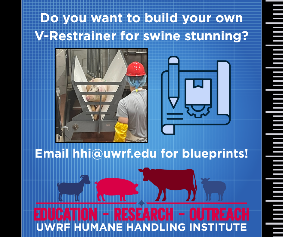Cattle Vision Examples The Humane Hand