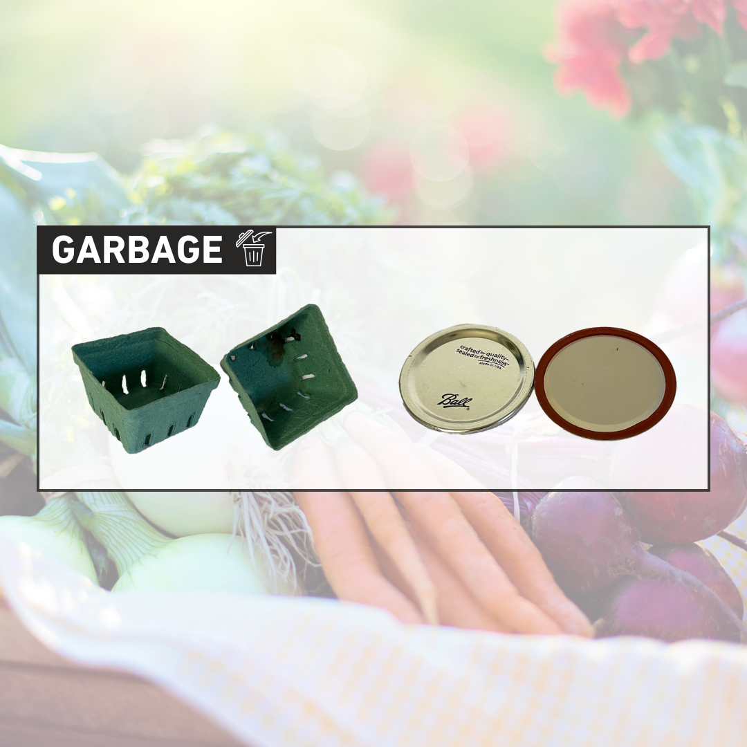 GARBAGE - Berry containers; Jar lids 