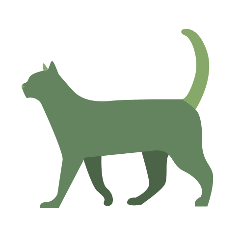 cat graphic